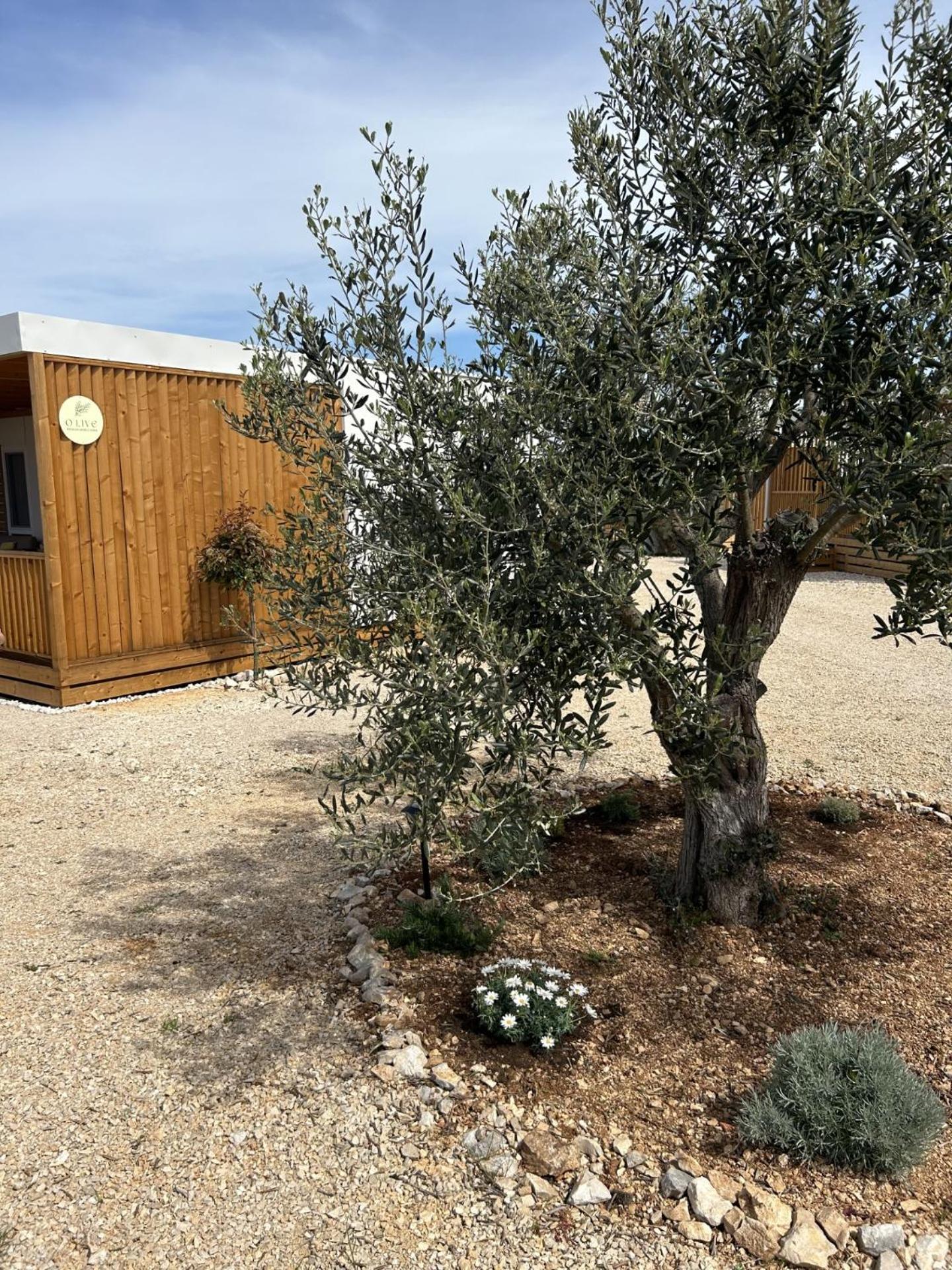 O'Live Premium Mobile Home Drage Eksteriør bilde